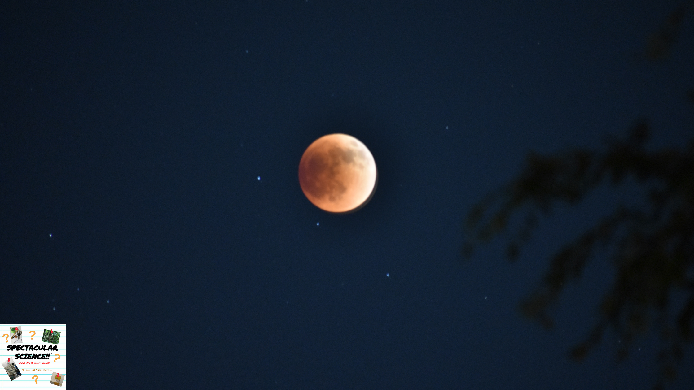 Spectacular Science May 2022 Lunar Eclipse Photo