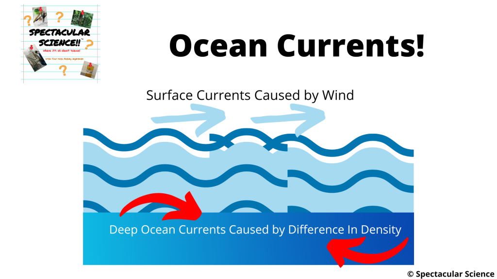 What Are Ocean Currents? - Spectacular Science