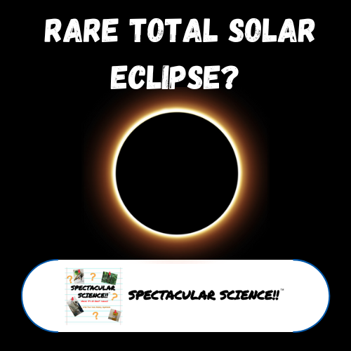 All About the Total Solar Eclipse – How To Watch and More!