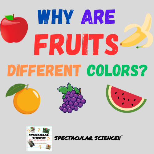 Why Are Fruits Different Colors?