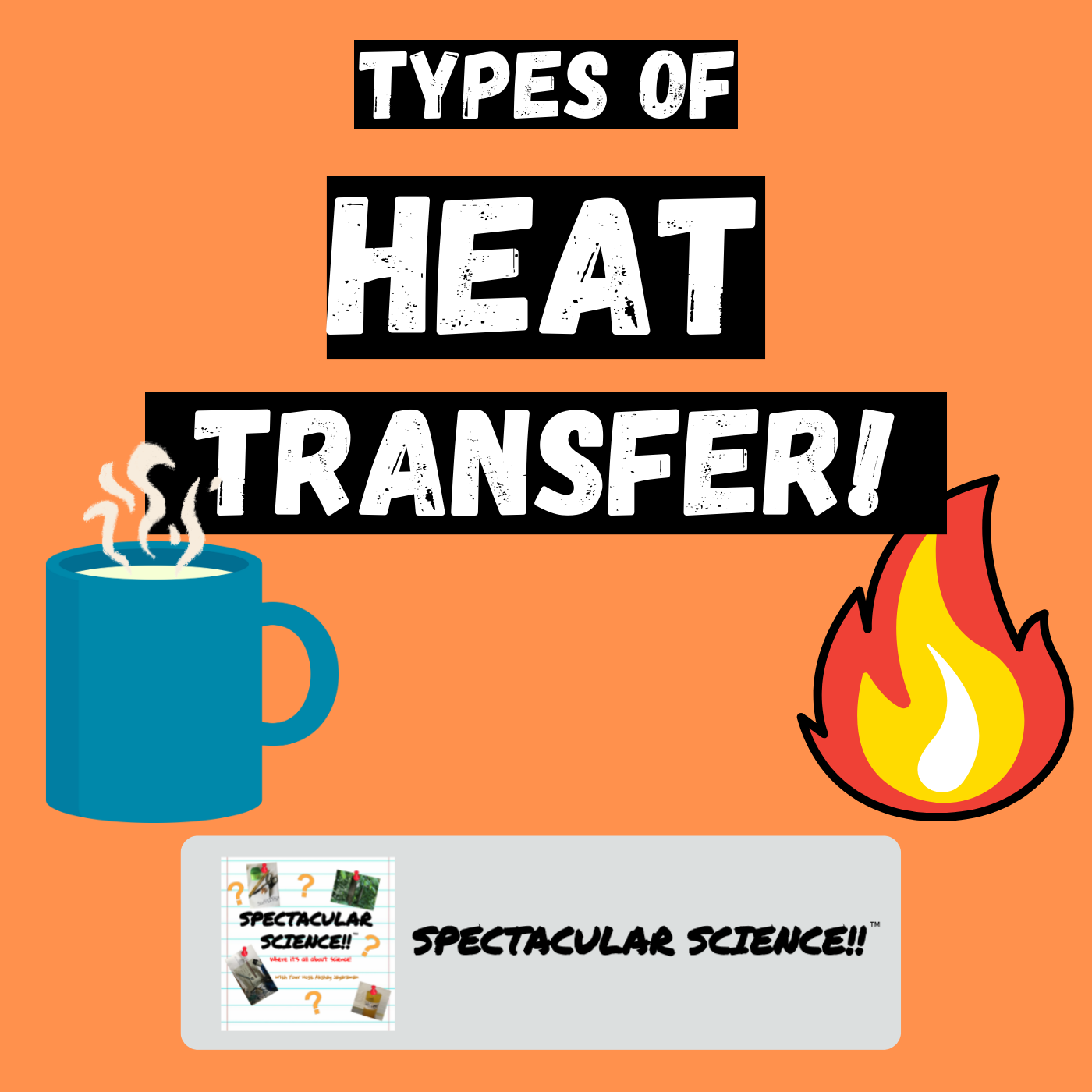 The 3 Types of Heat Transfer – Explained!
